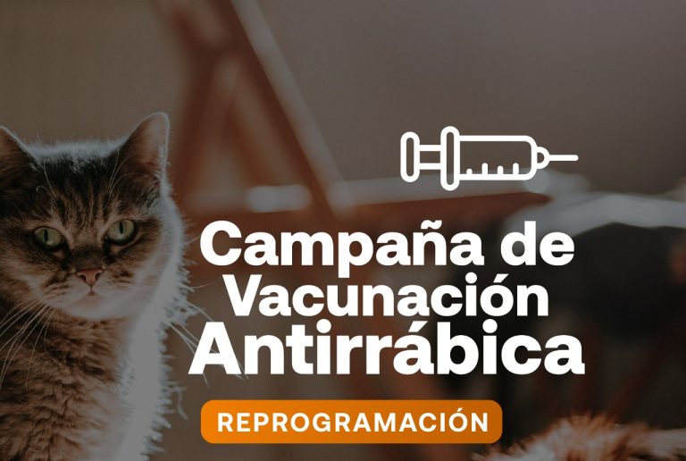Campaña de vacunación antirrábica 2025