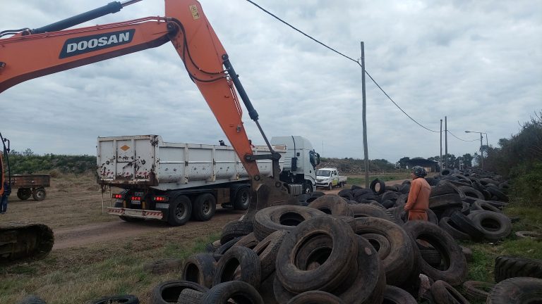 Transformamos un problema en oportunidad: ¡los neumáticos ya no serán basura!