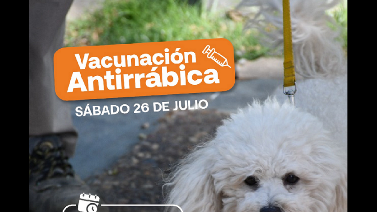 ¡Vacunación Antirrábica en los barrios 9 de Julio y Sur!